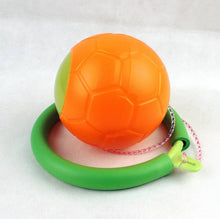 Load image into Gallery viewer, BodySmarty™ Skip ball ankle toy