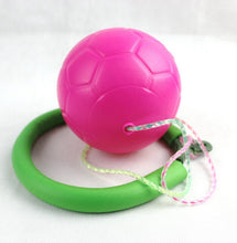 Load image into Gallery viewer, BodySmarty™ Skip ball ankle toy