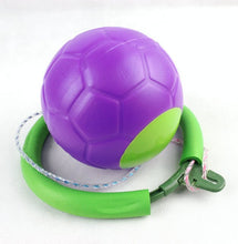 Load image into Gallery viewer, BodySmarty™ Skip ball ankle toy