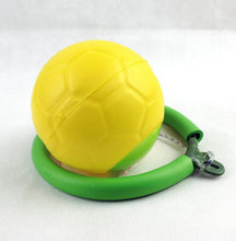 Load image into Gallery viewer, BodySmarty™ Skip ball ankle toy
