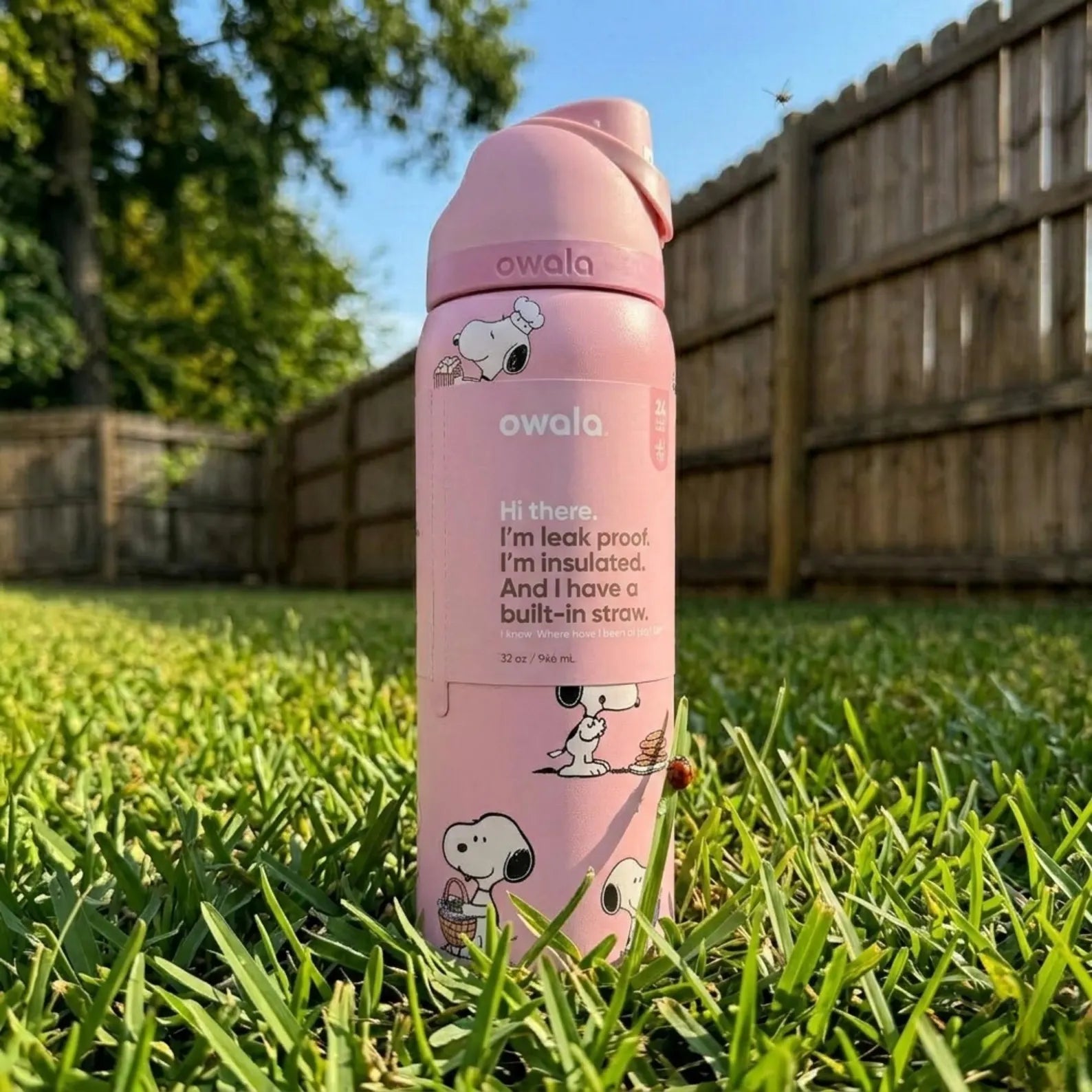Limited Edition Snoopy 32oz – bodysmarty